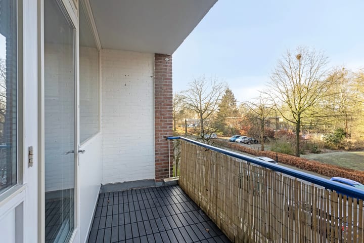 Foto 13 van Henri Dunantlaan 271