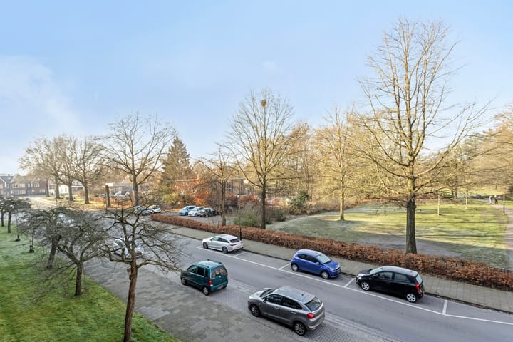 Foto 15 van Henri Dunantlaan 271