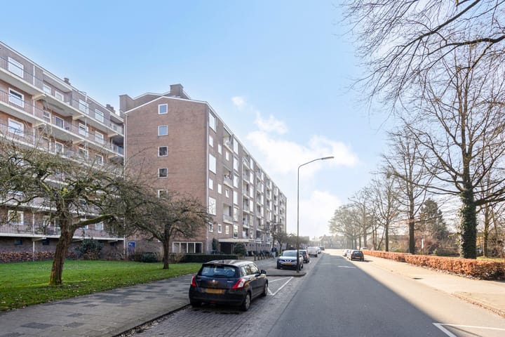 Foto 29 van Henri Dunantlaan 271