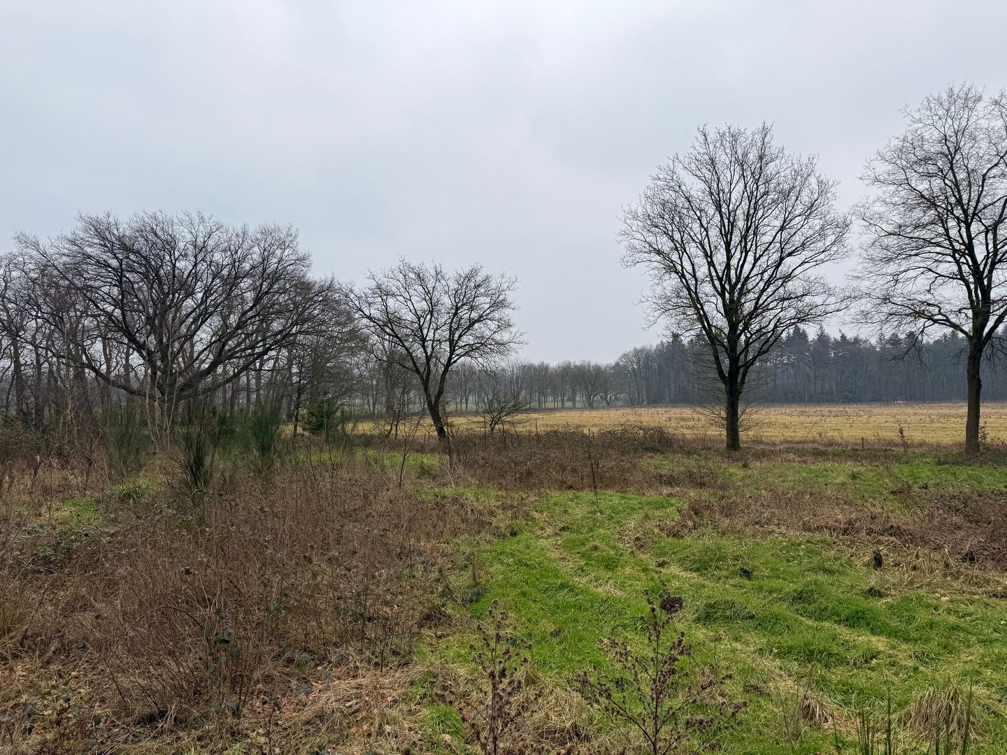 Foto 1 van Oude Veensegrindweg