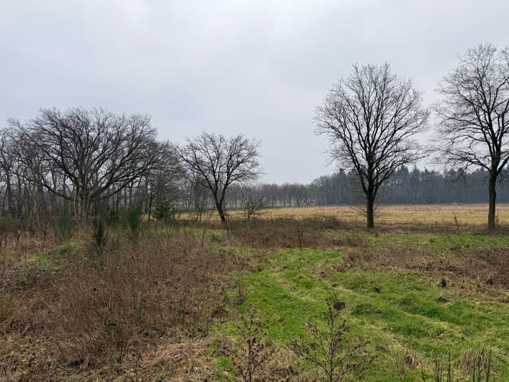 Foto 1 van Oude Veensegrindweg