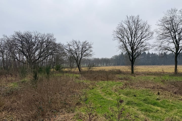 Foto 1 van Oude Veensegrindweg
