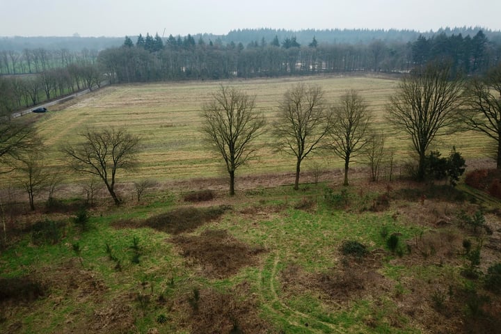 Foto 3 van Oude Veensegrindweg
