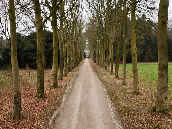 Foto 5 van Oude Veensegrindweg