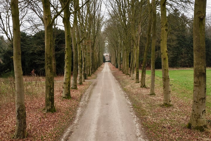 Foto 5 van Oude Veensegrindweg