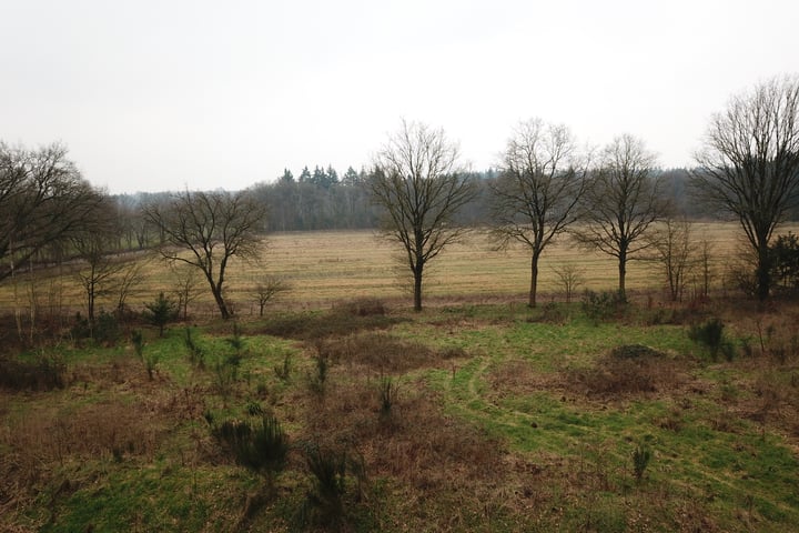 Foto 7 van Oude Veensegrindweg