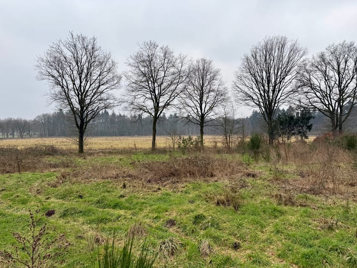 Foto 8 van Oude Veensegrindweg