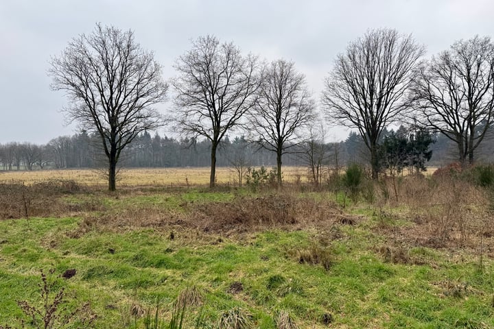 Foto 8 van Oude Veensegrindweg