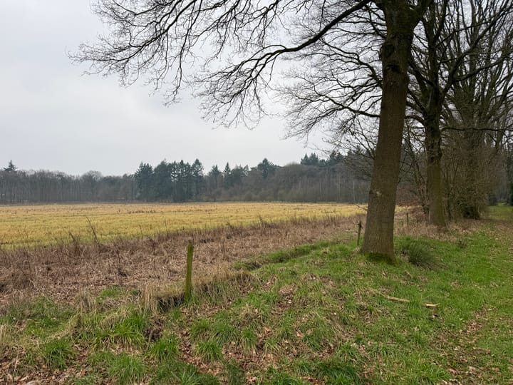 Foto 9 van Oude Veensegrindweg