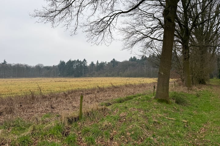 Foto 9 van Oude Veensegrindweg