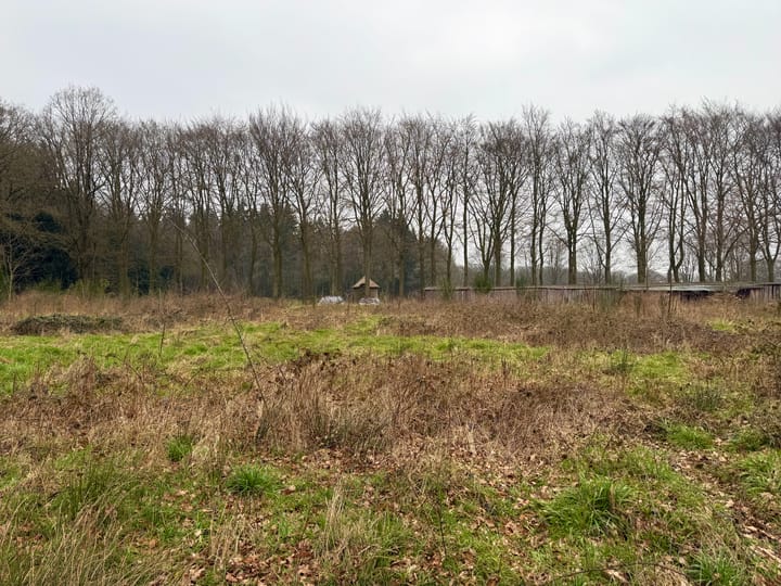 Foto 10 van Oude Veensegrindweg