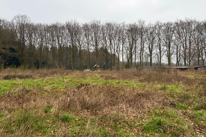 Foto 10 van Oude Veensegrindweg
