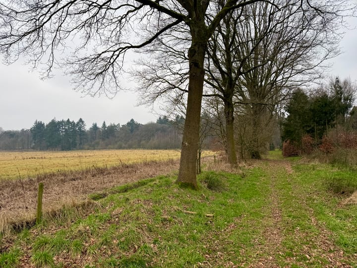 Foto 11 van Oude Veensegrindweg