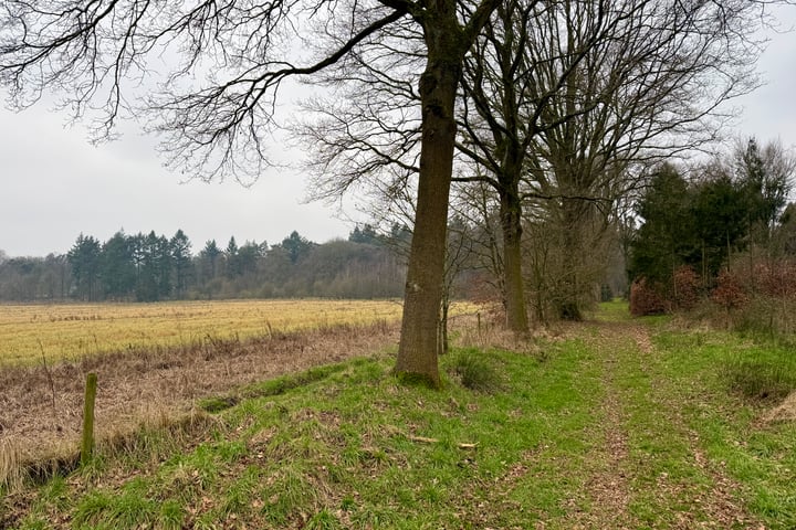Foto 11 van Oude Veensegrindweg