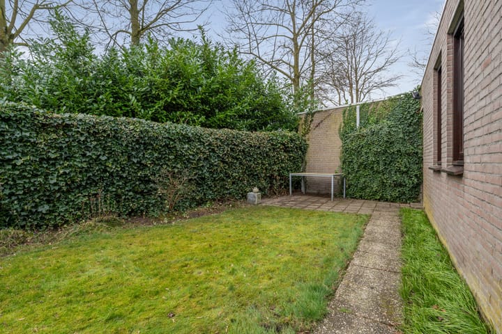 Photo 28 of Koperwiek 28