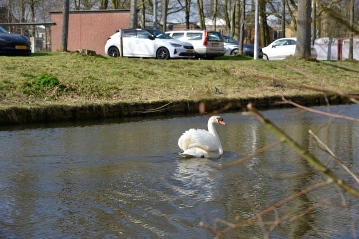 Foto 5 van Het Geheugen 99