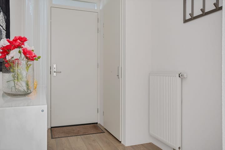 Foto 12 van Middenhaag 425