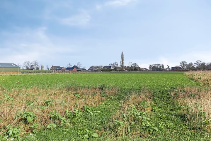 Foto 37 van Anemoonstraat 16