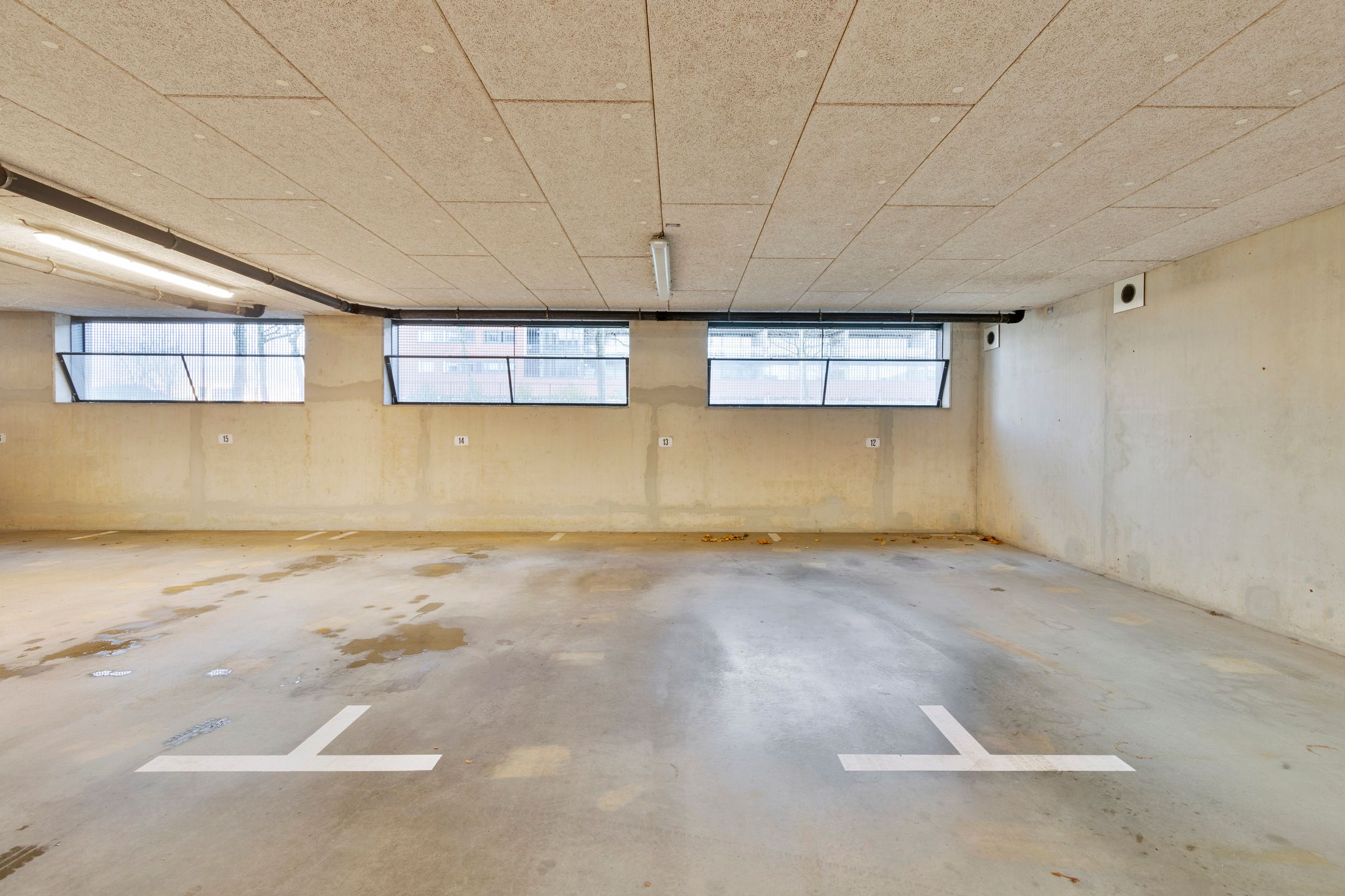 Foto 21 van Zalm 188