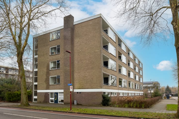 Foto 40 van Richterslaan 89