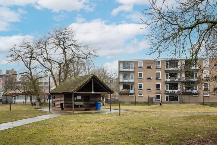 Foto 42 van Richterslaan 89