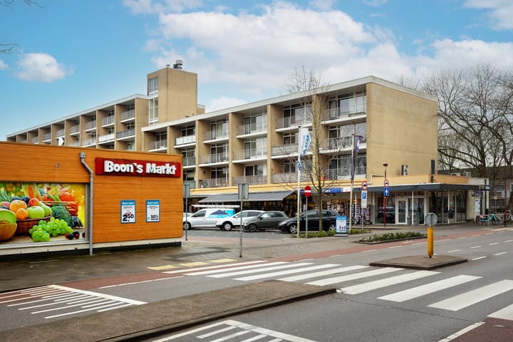 Foto 44 van Richterslaan 89