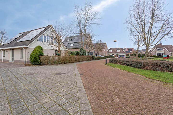 Foto 39 van Kreeft 12