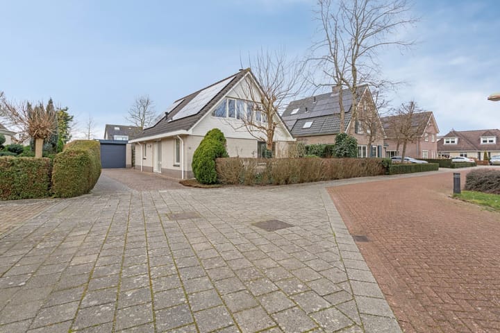 Foto 40 van Kreeft 12