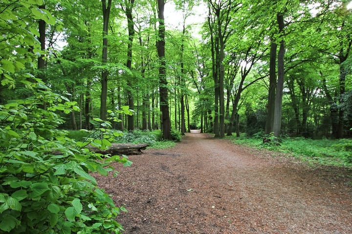 Foto 43 van Leidsevaart 560