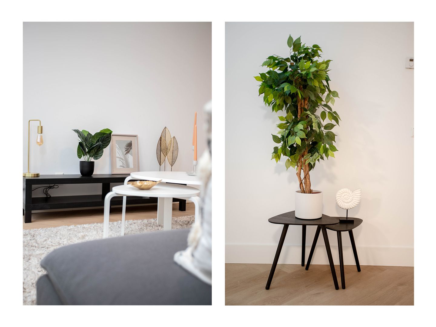 Foto 5 van Jutfaseweg 223-17