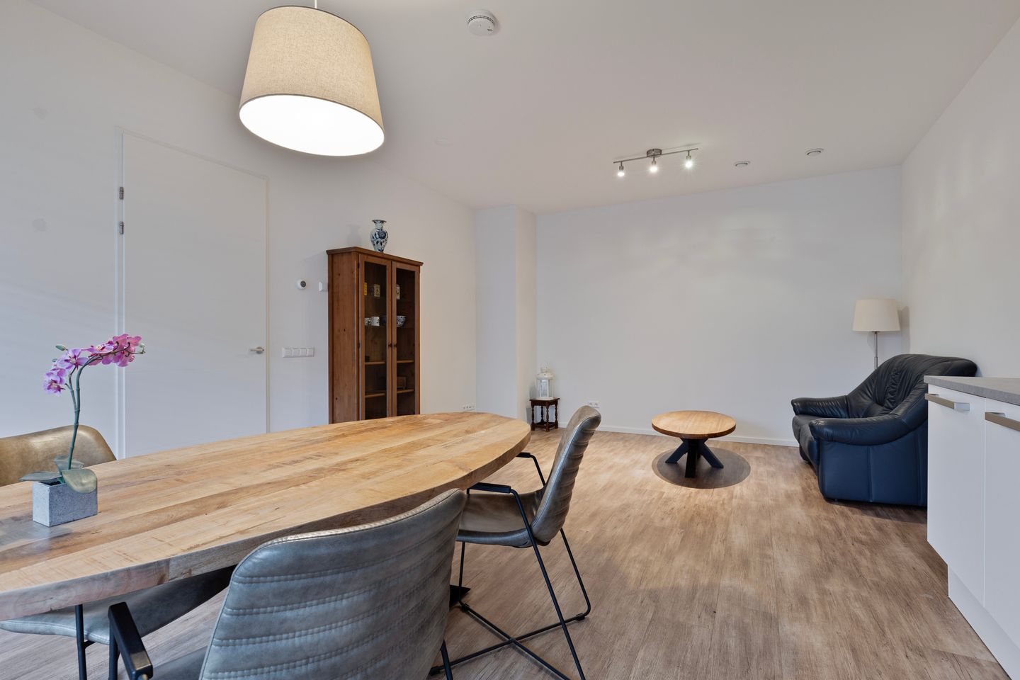 Foto 14 van Koraal 91