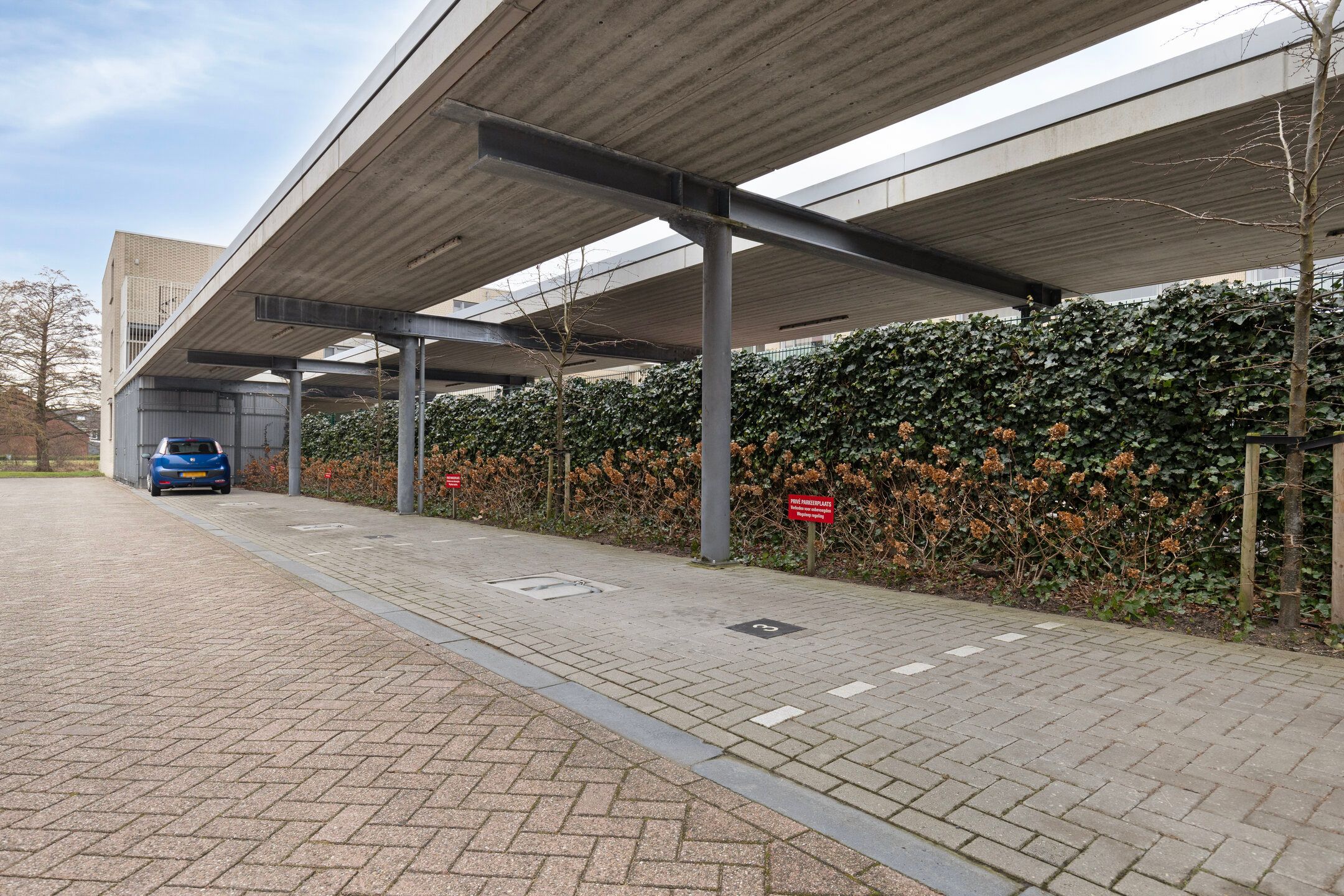 Foto 27 van Koraal 91