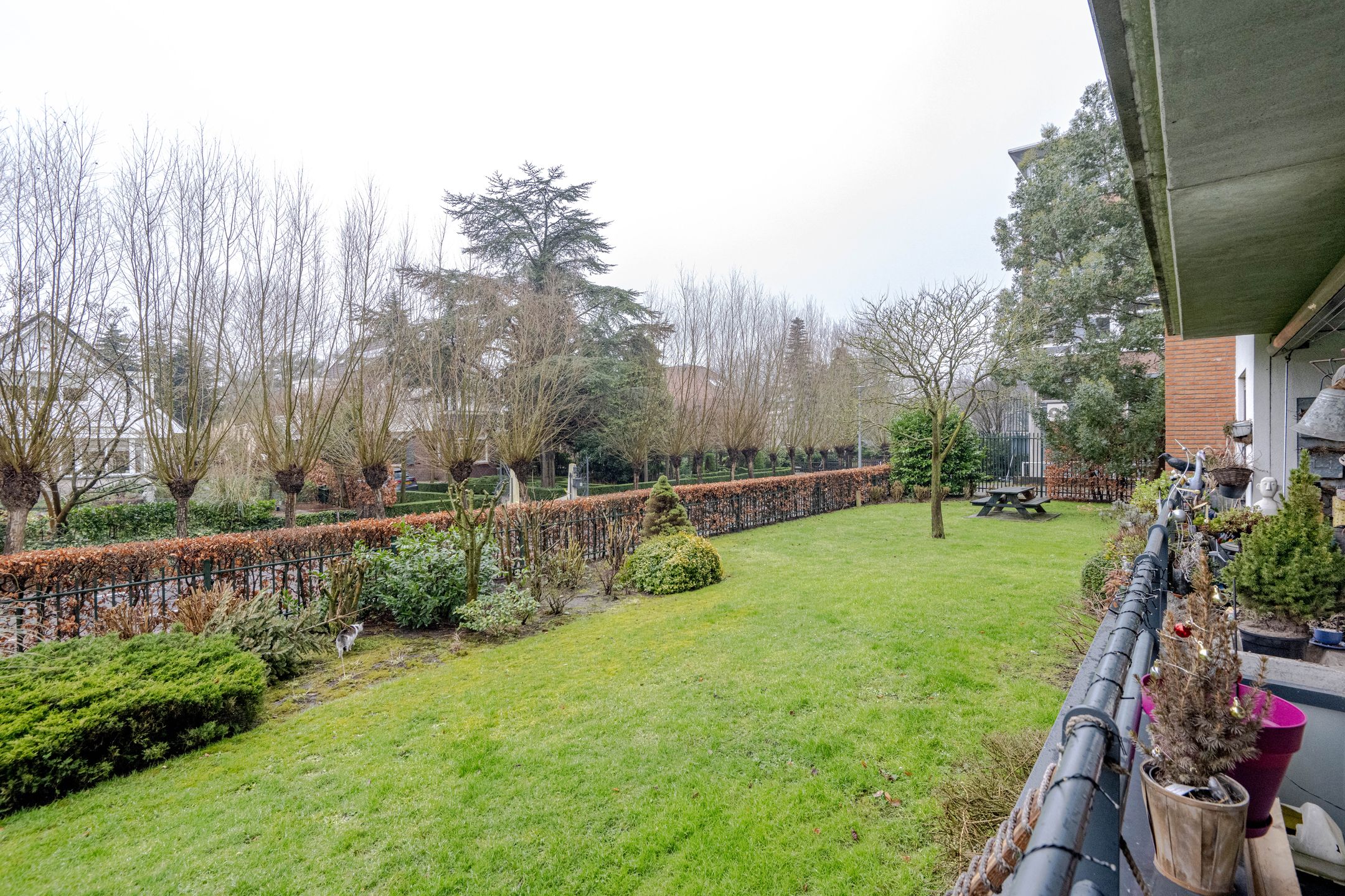 Foto 12 van Zanglijsterstraat 15