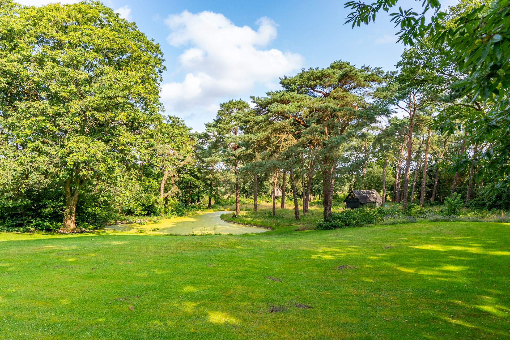 Photo 42 of Heidelaantje 2