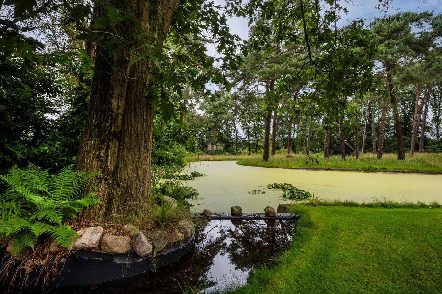 Photo 44 of Heidelaantje 2