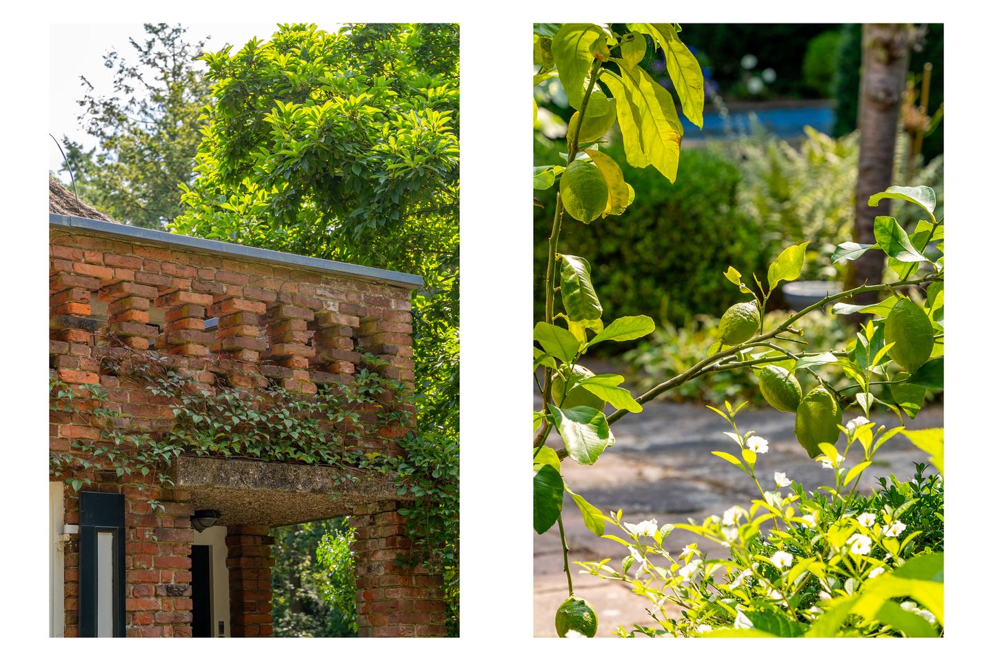 Photo 10 of Heidelaantje 2