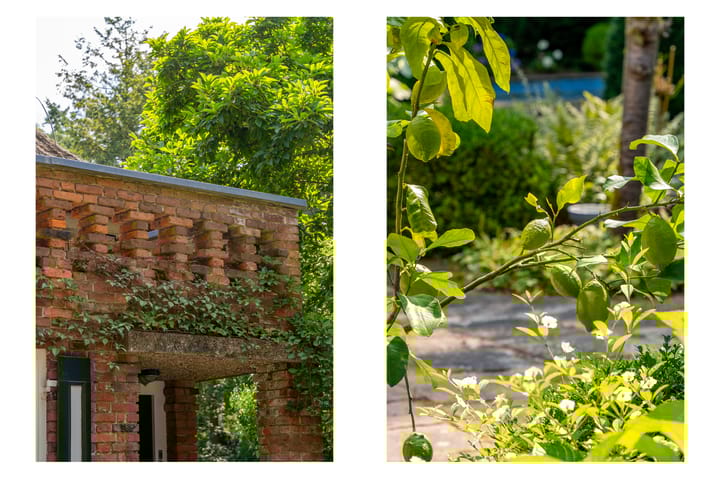 Foto 10 van Heidelaantje 2