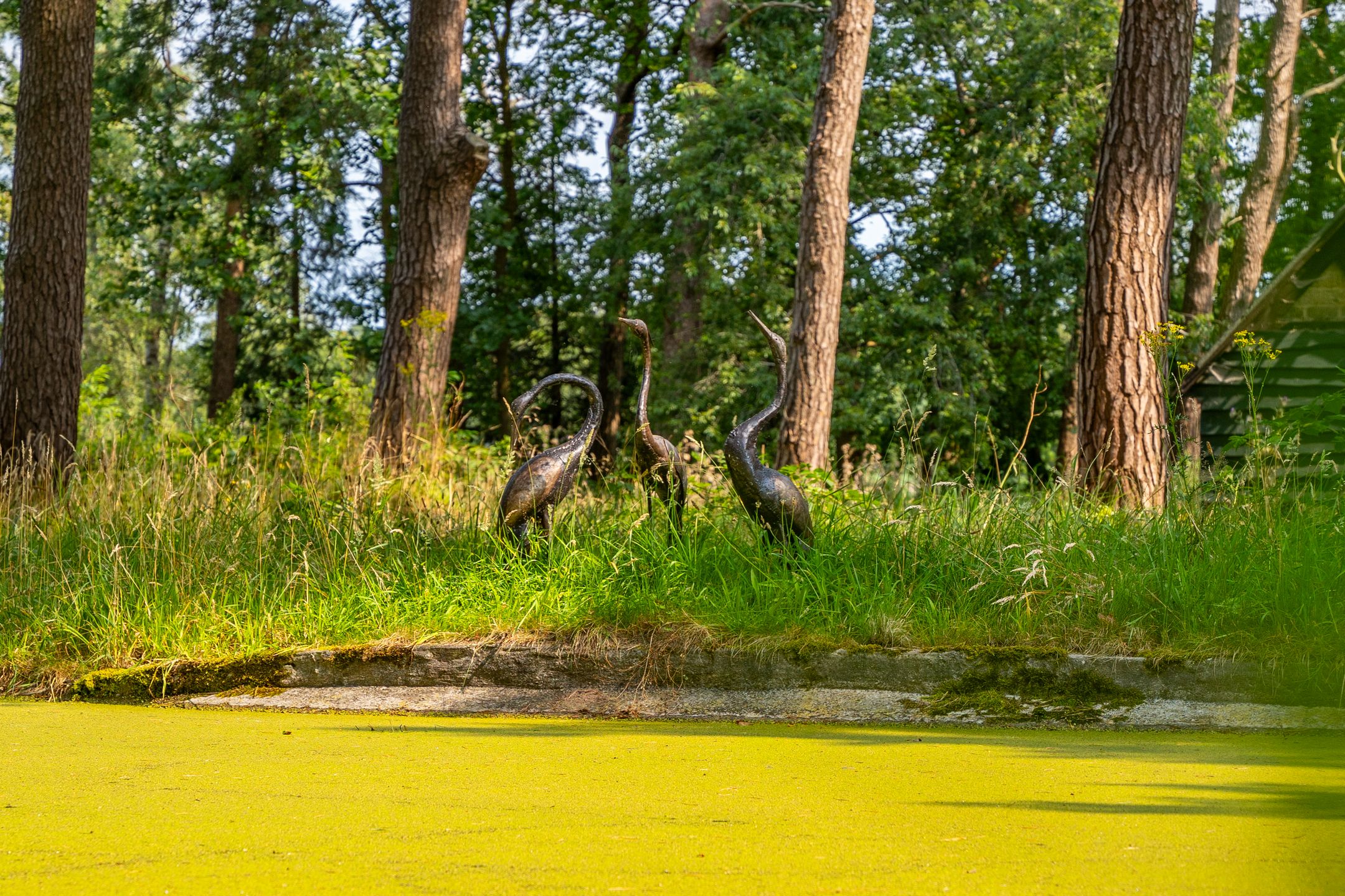 Photo 45 of Heidelaantje 2