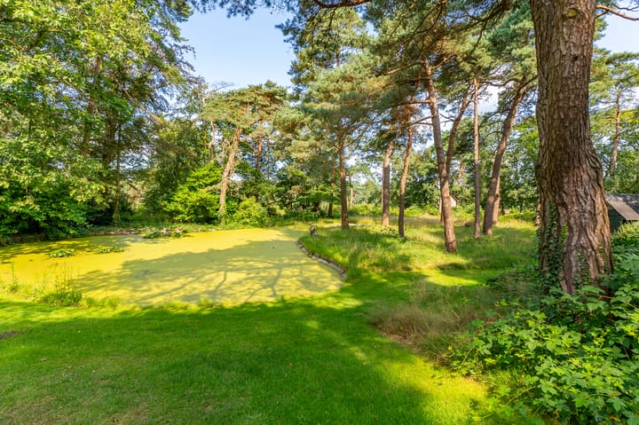 Foto 46 van Heidelaantje 2