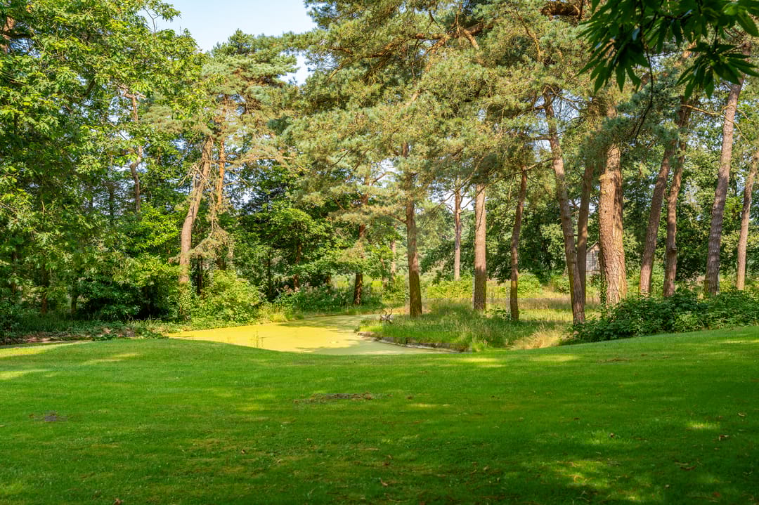 Photo 47 of Heidelaantje 2