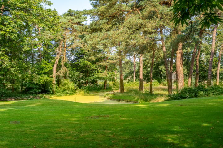 Foto 47 van Heidelaantje 2