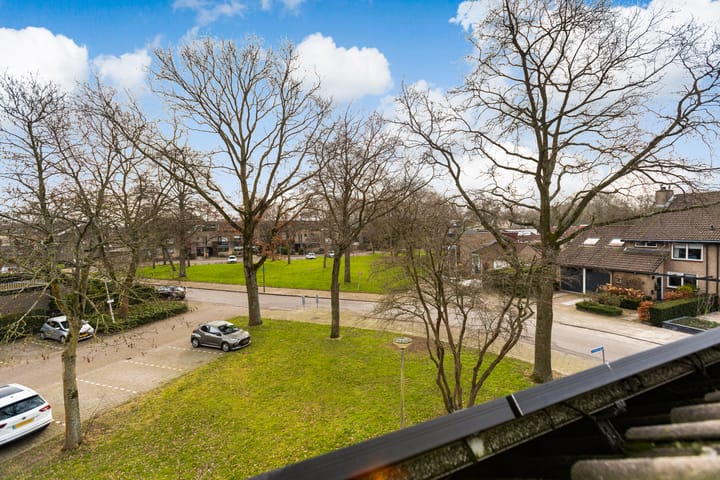 Foto 42 van Vlinderslag 3