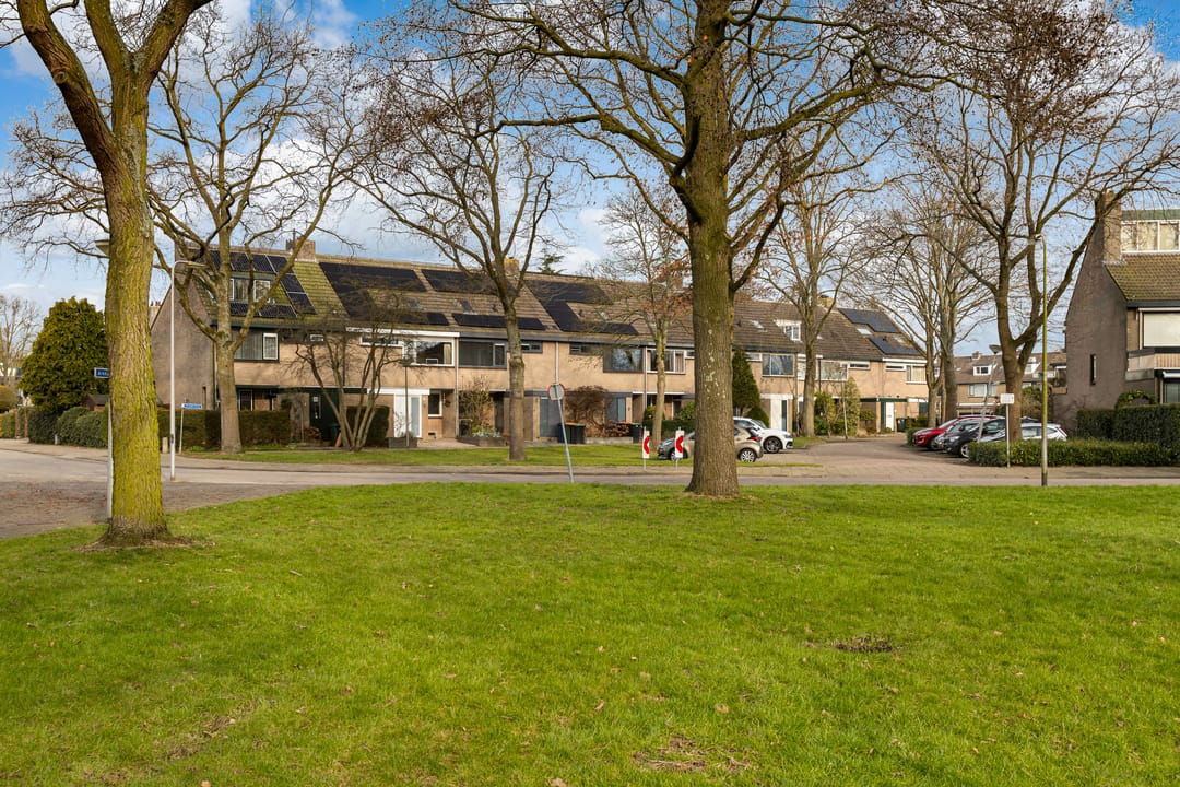 Foto 43 van Vlinderslag 3