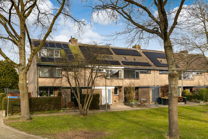 Foto 44 van Vlinderslag 3