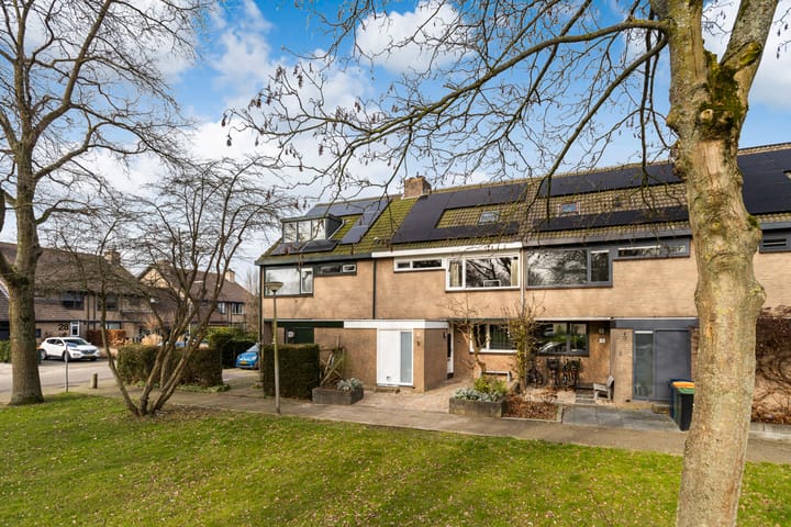 Foto 45 van Vlinderslag 3