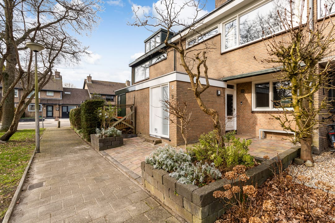 Foto 46 van Vlinderslag 3