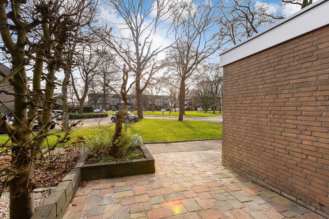 Foto 47 van Vlinderslag 3