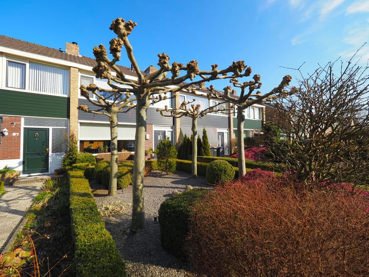 Foto 50 van P.C. Hooftlaan 99