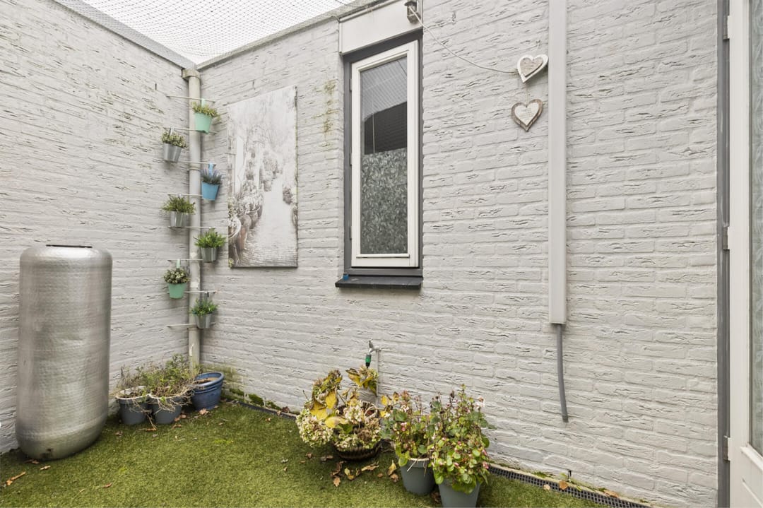 Foto 22 van Amaryllishof 18