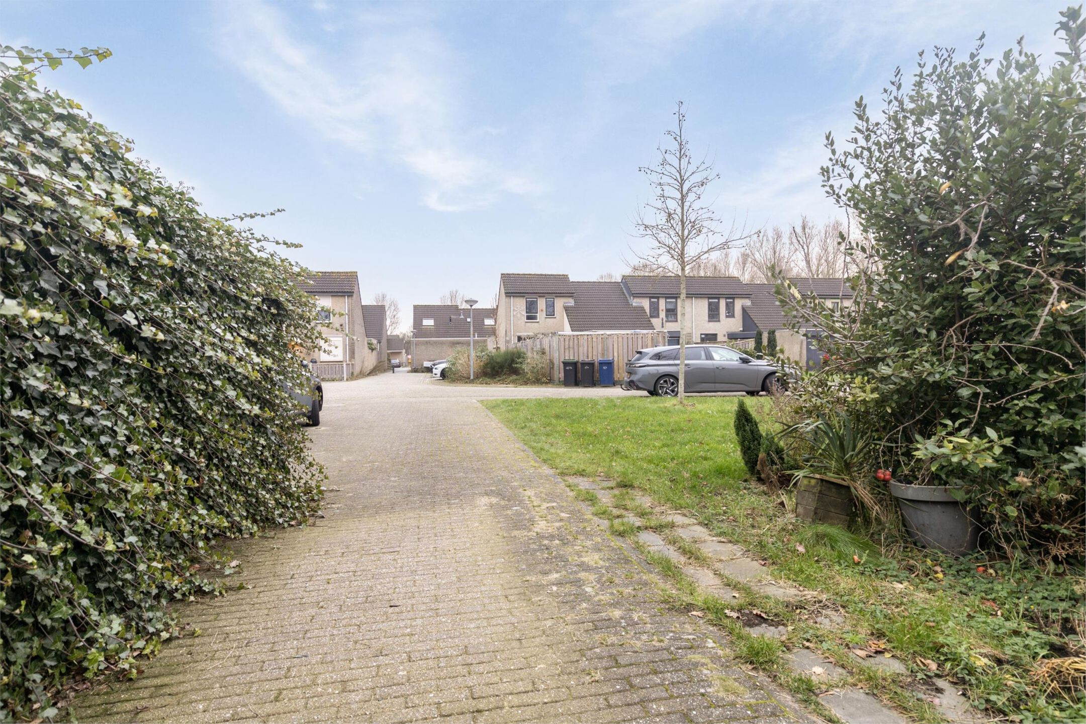 Foto 27 van Amaryllishof 18